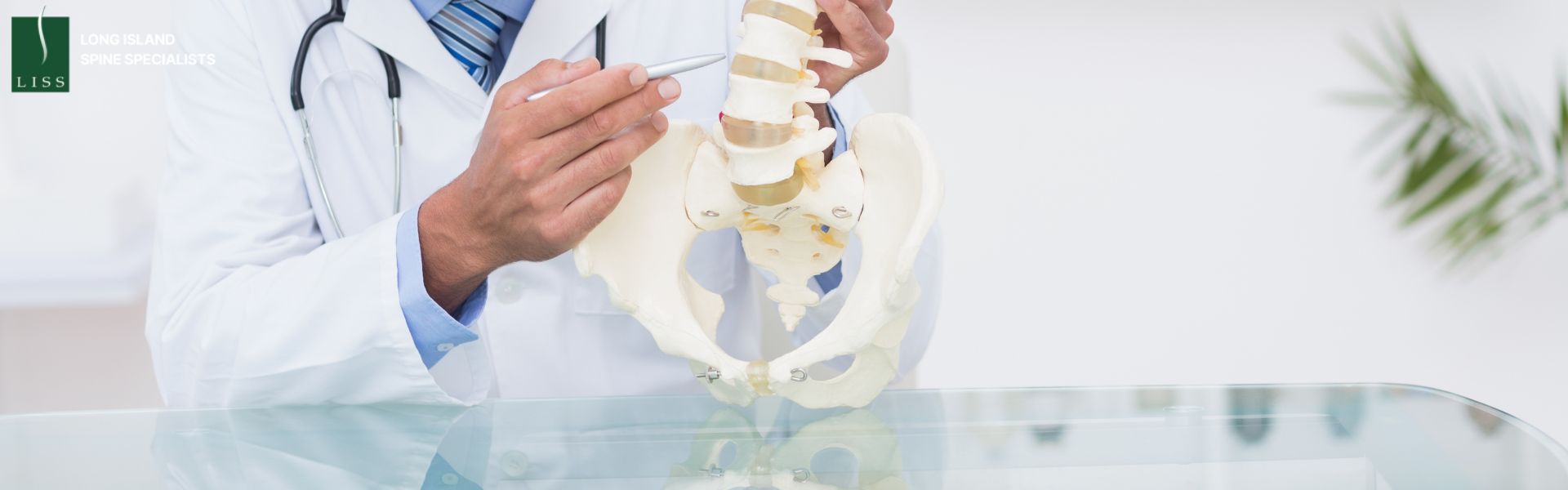 Clinical Significance of the Ischial Spine